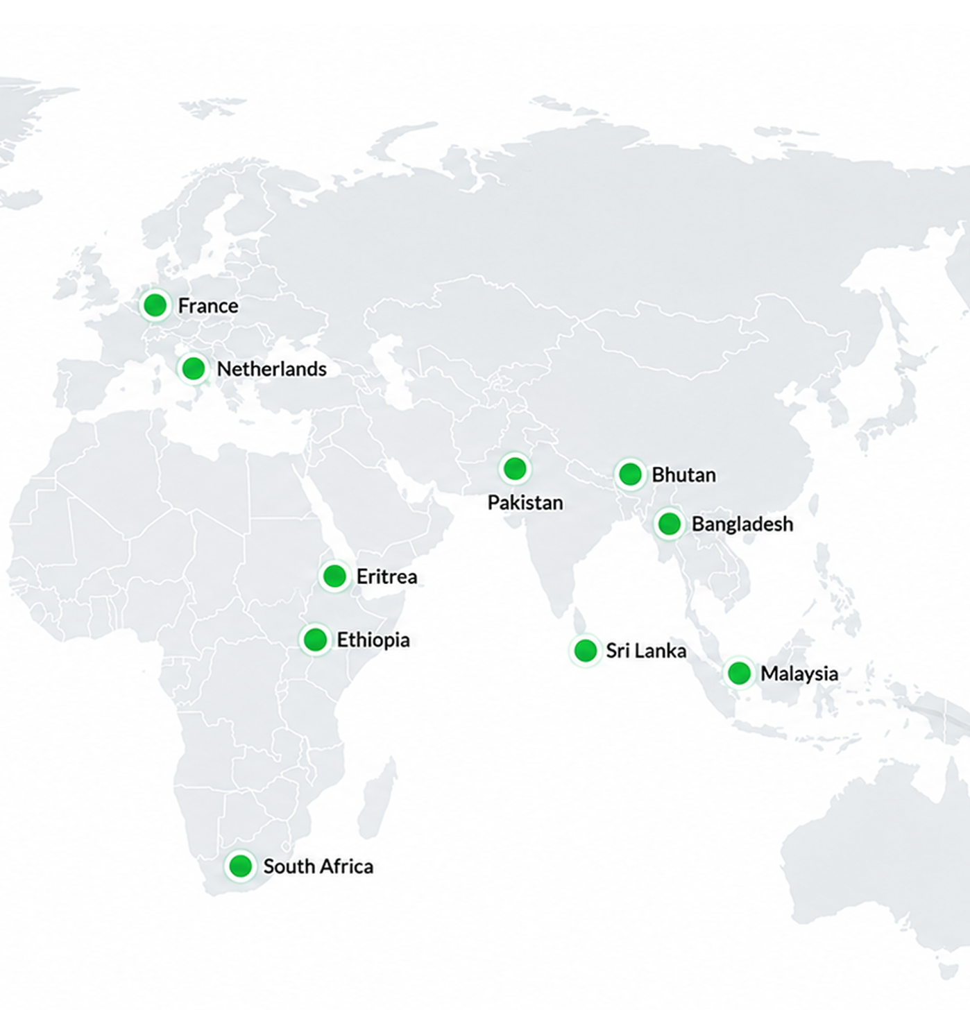 International participants