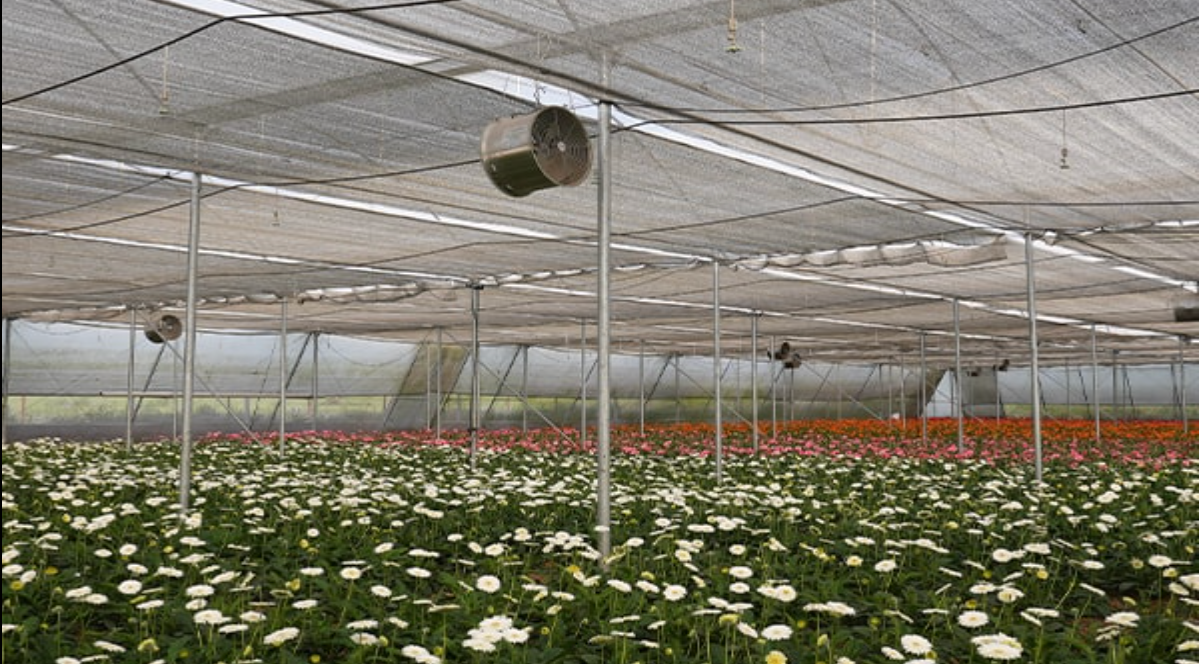 General Greenhouse Management
