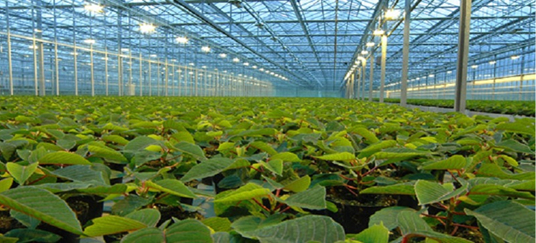 Green House Management